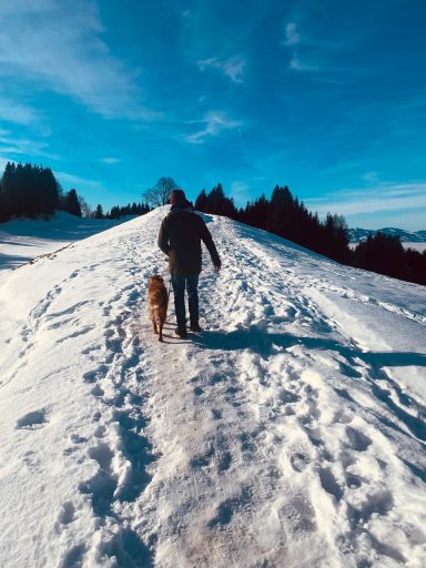 Person mit Hund geht einen verschneiten Weg in der Winterlandschaft.